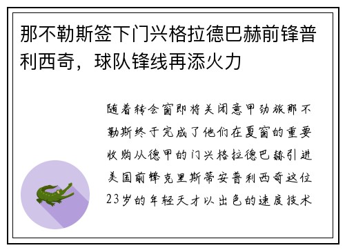 那不勒斯签下门兴格拉德巴赫前锋普利西奇，球队锋线再添火力